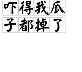 嚇得我瓜子都掉了 嚇得我瓜子都掉了