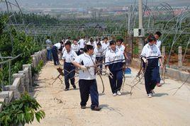 七頂山街道 七頂山街道