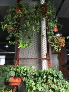 勝果學院 勝果學院