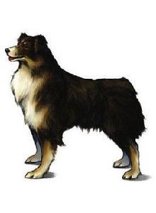 ANGELO[最終幻想8女主角Rinoa的寵物狗]