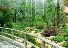 上海動物園進入式鳥園