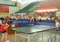 社會體育 社會體育