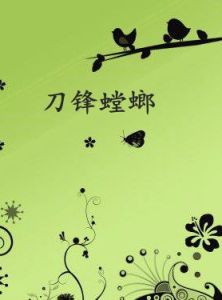 快餐式武俠 快餐式武俠