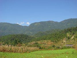 一自然村 一自然村