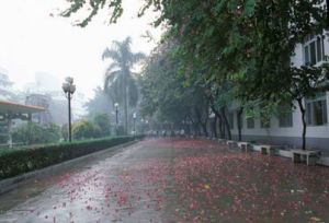 廣東財政職業技術學校