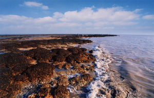 蠣岈山生態風景區 蠣岈山生態風景區