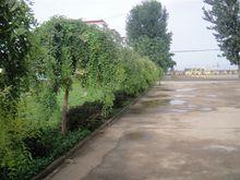 薊縣楊家樓中學