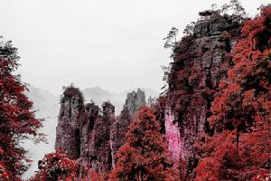 蓮花山風景名勝區