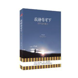 《寂靜蒼穹下:回不去的旅人》