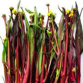 紅油菜苔 紅油菜苔