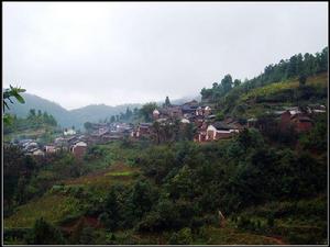 會保度地村 會保度地村