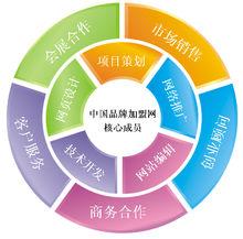 公司團隊結構圖