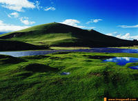 那曲高寒草原 那曲高寒草原