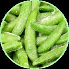 （圖）設施農作制度