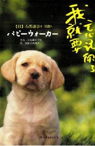 我就要忘記你了 我就要忘記你了