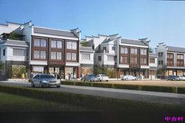 中古村[河北省定州市大新莊鎮中古村]