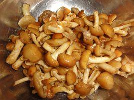 岫巖滑子蘑 岫巖滑子蘑