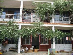 張家屯自然村 張家屯自然村