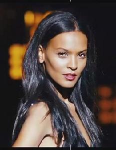 沙漠之花[歐洲2009年雪瑞·霍爾曼執導電影]