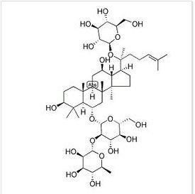 人參皂苷 人參皂苷