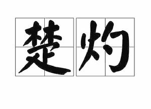楚灼 楚灼
