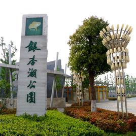 銀杏湖公園 銀杏湖公園