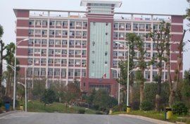 湖南電子科技職業學院 湖南電子科技職業學院