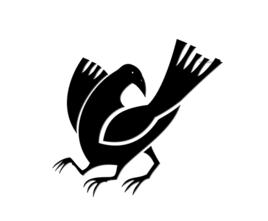 賀茂建角身神 賀茂建角身神