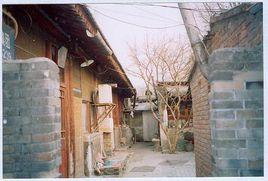 總部胡同 總部胡同