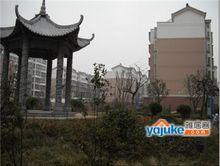 徐州水岸春天照片