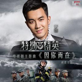 因你而在[於湉演唱歌曲]