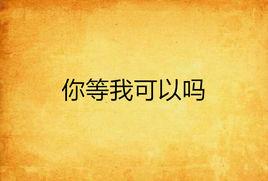 你等我可以嗎 你等我可以嗎
