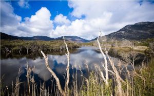 威爾遜角國家公園 威爾遜角國家公園