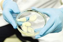 3D生物印表機 3D生物印表機