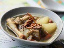 蟲草花燉鴿子 蟲草花燉鴿子