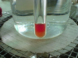 本尼迪克特試劑 本尼迪克特試劑