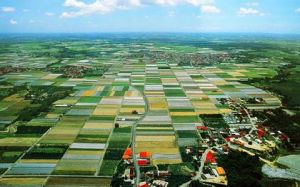 嘉義丘陵 嘉義丘陵