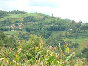 芒黑墳自然村 芒黑墳自然村