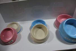 寵物玩具 寵物玩具