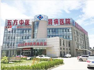 北京五方中醫腎病醫院 北京五方中醫腎病醫院
