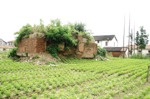 陸渡抗戰時期碉堡群 陸渡抗戰時期碉堡群