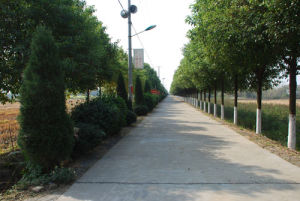 石公橋鎮 石公橋鎮