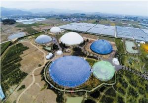 太空農場 太空農場