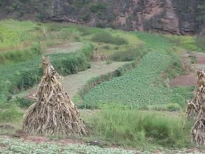 康查咪村 康查咪村