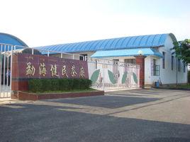 勐海健民茶廠 勐海健民茶廠