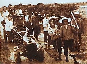 知識青年在國營黎明農場的廣闊天地間不僅揮灑了汗水，留下了他們青春的笑聲，而且還留下了他們的觀念、他們的思維……