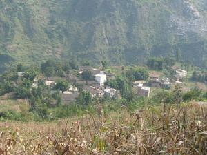 野雞慶自然村 野雞慶自然村