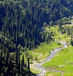 那拉提國家森林公園 那拉提國家森林公園