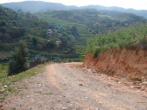 背陰坡村 背陰坡村