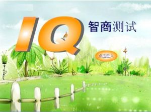 智力測試 智力測試